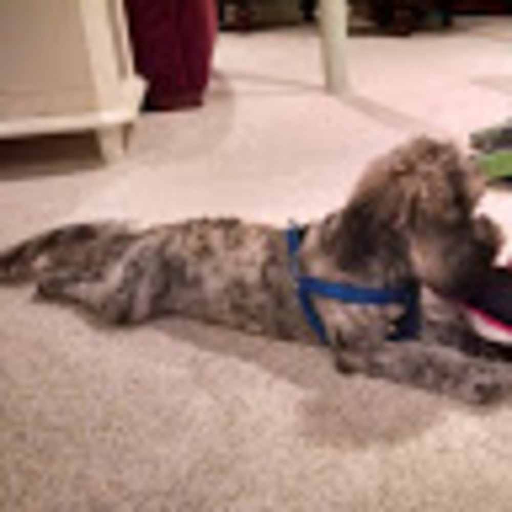 Meet your Posher, Mb